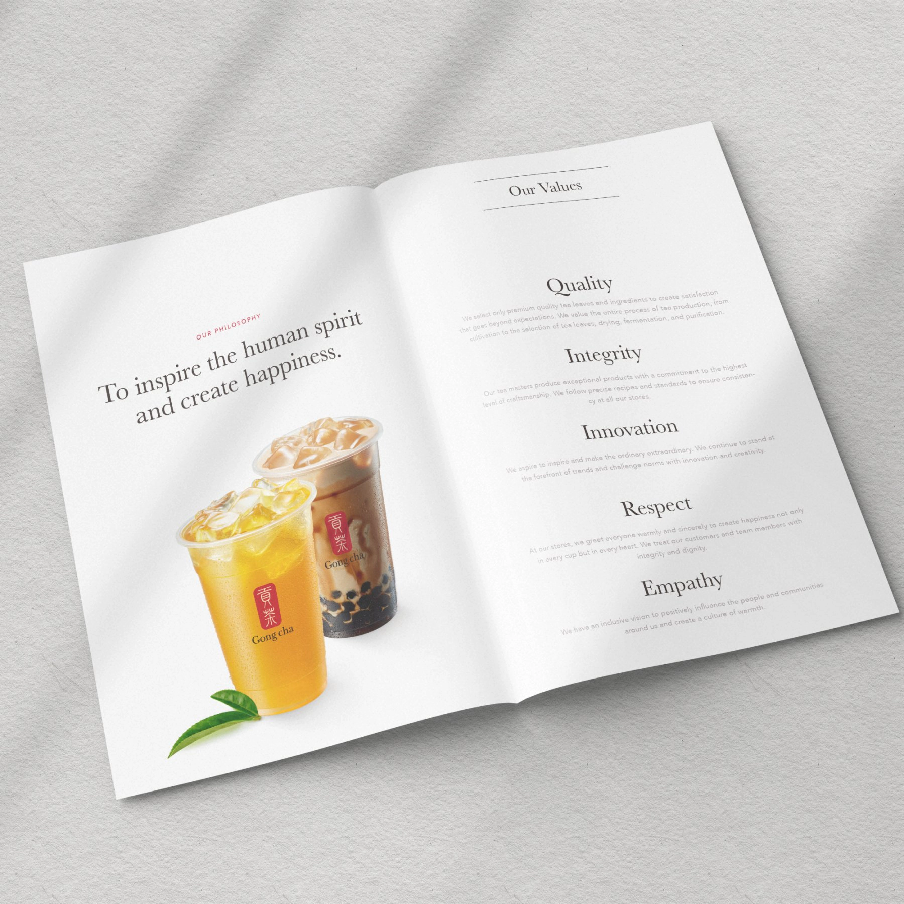 Brand book spread — mission and values