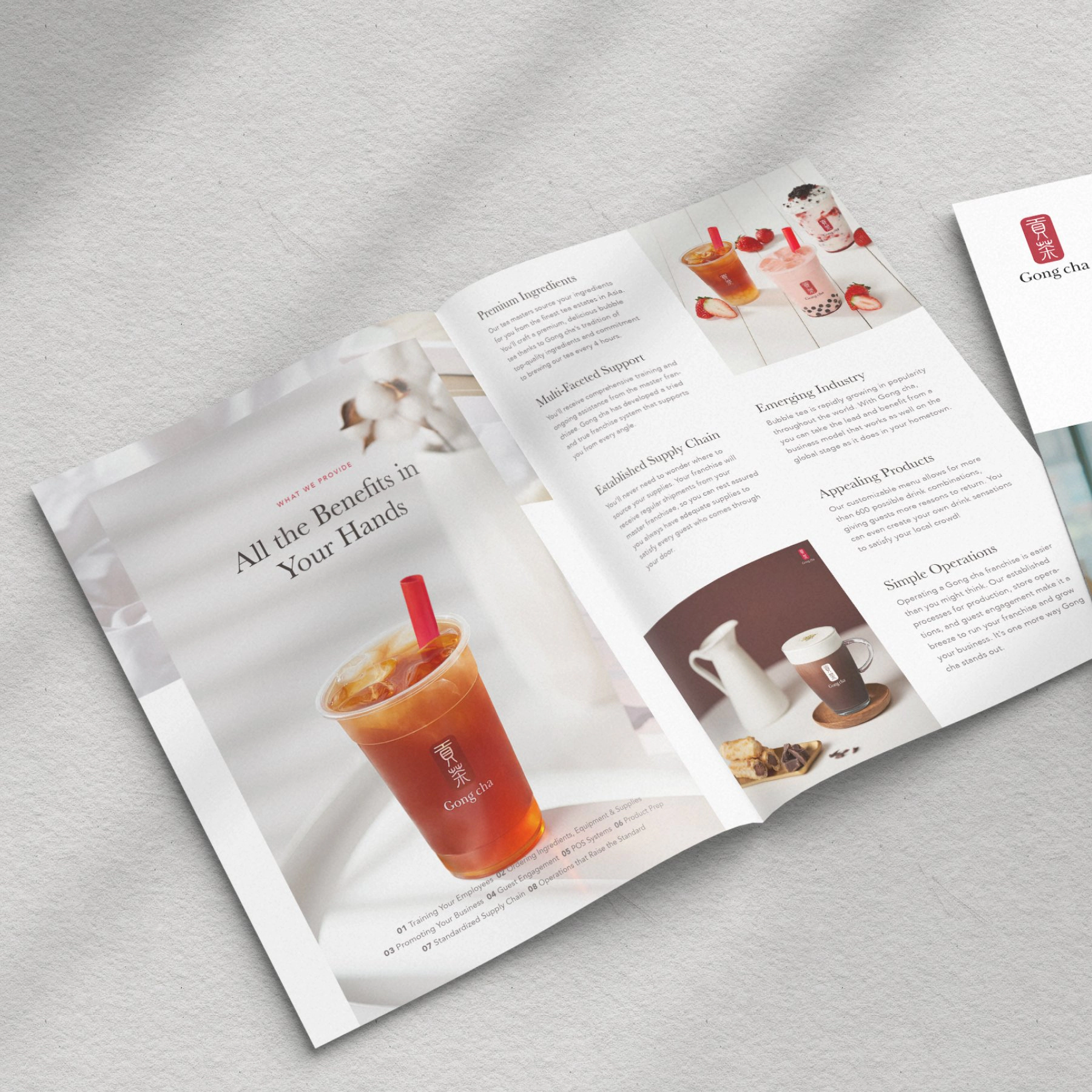 Brand book spread — product benefits