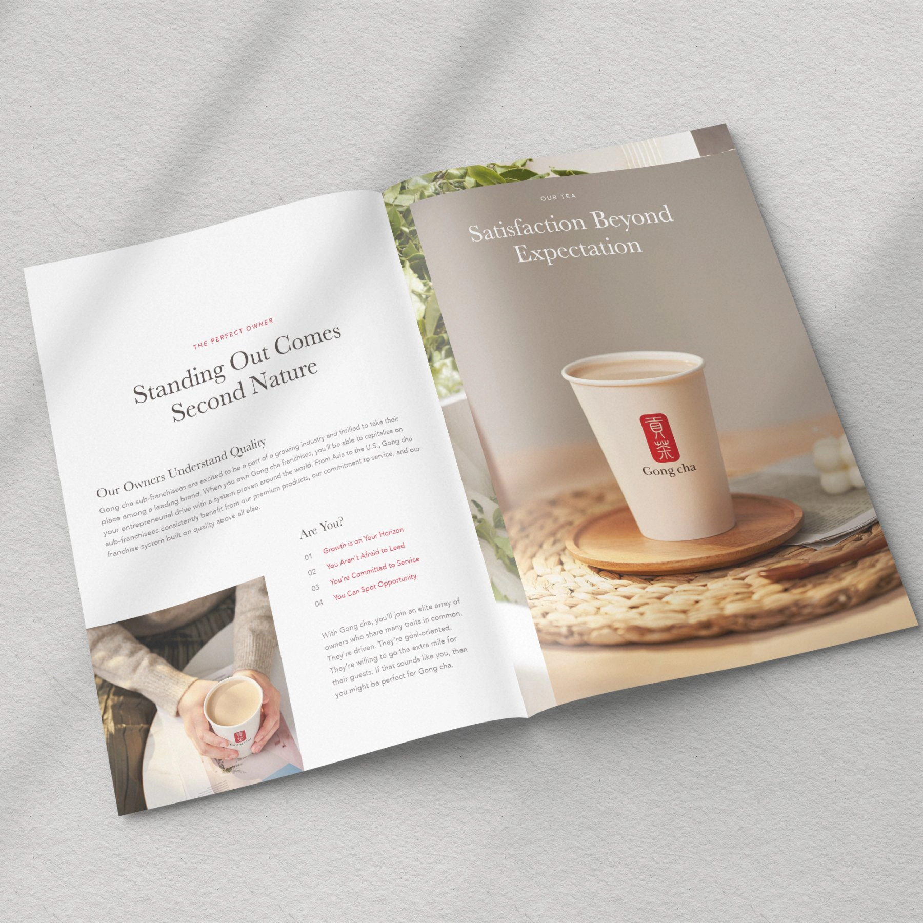 Brand book spread — quality standards